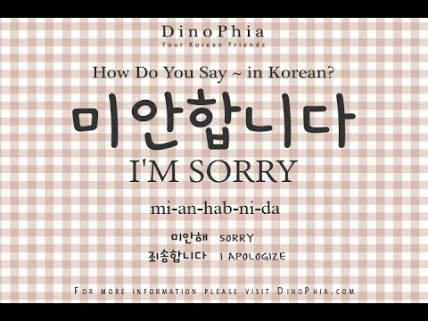 korean in How you do say will
