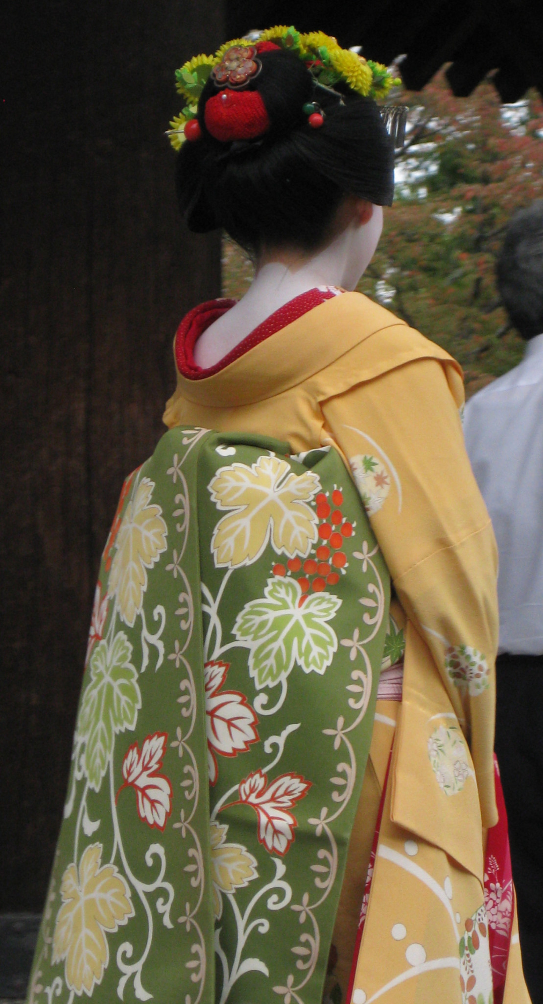Country of japan geisha