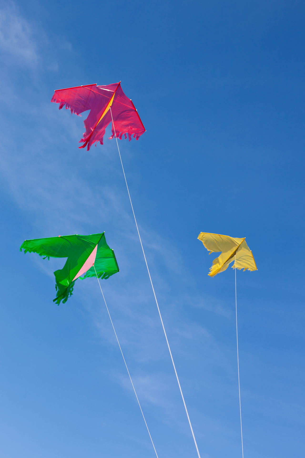 flying facts kite Asian