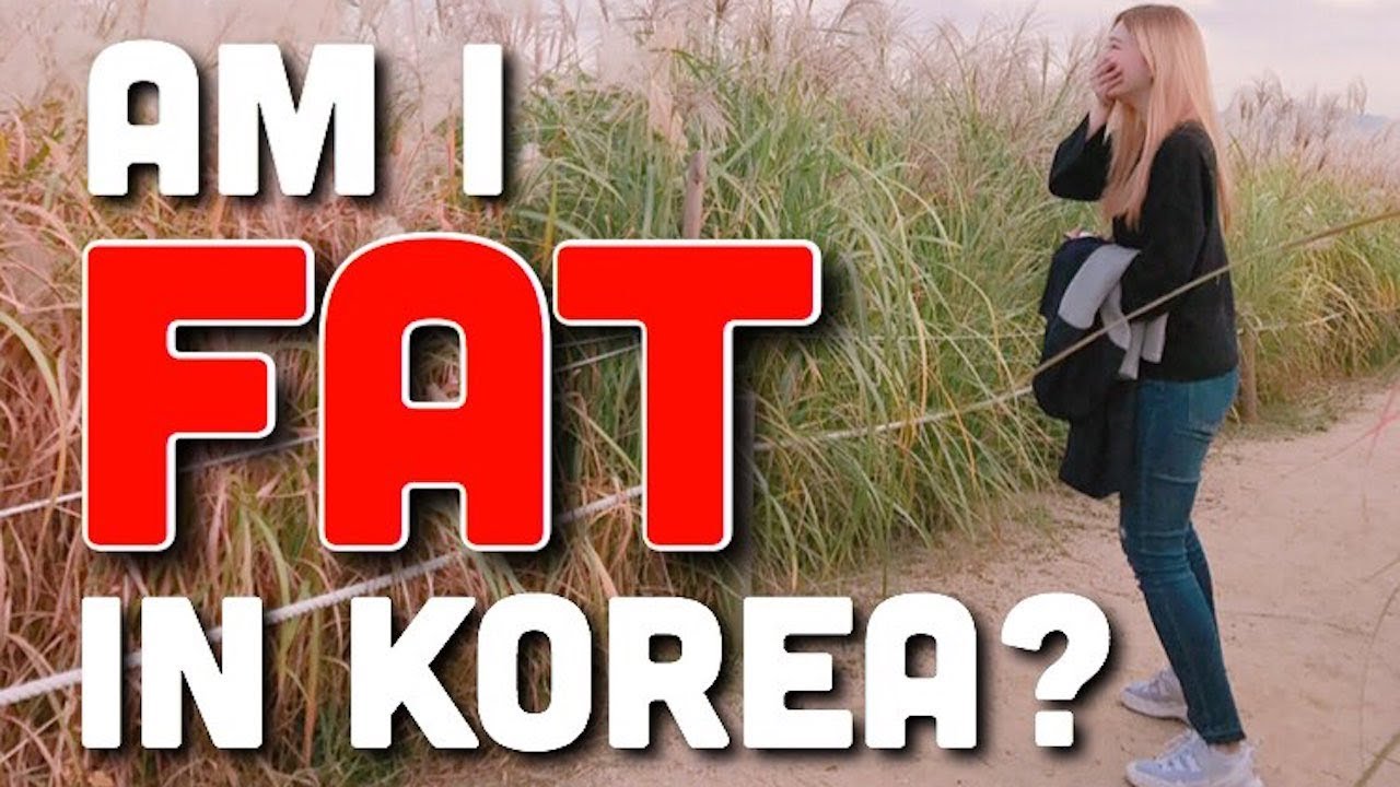 are Am korean is in