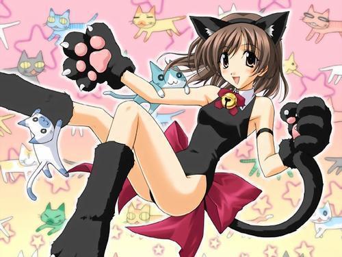 shows anime Cat girl