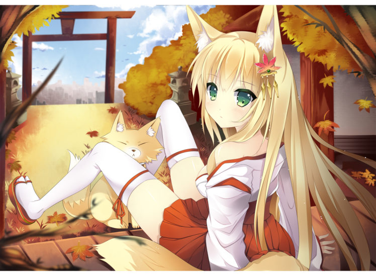 tail and ears with Anime fox girl