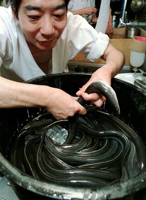 eel anus chef Chinese
