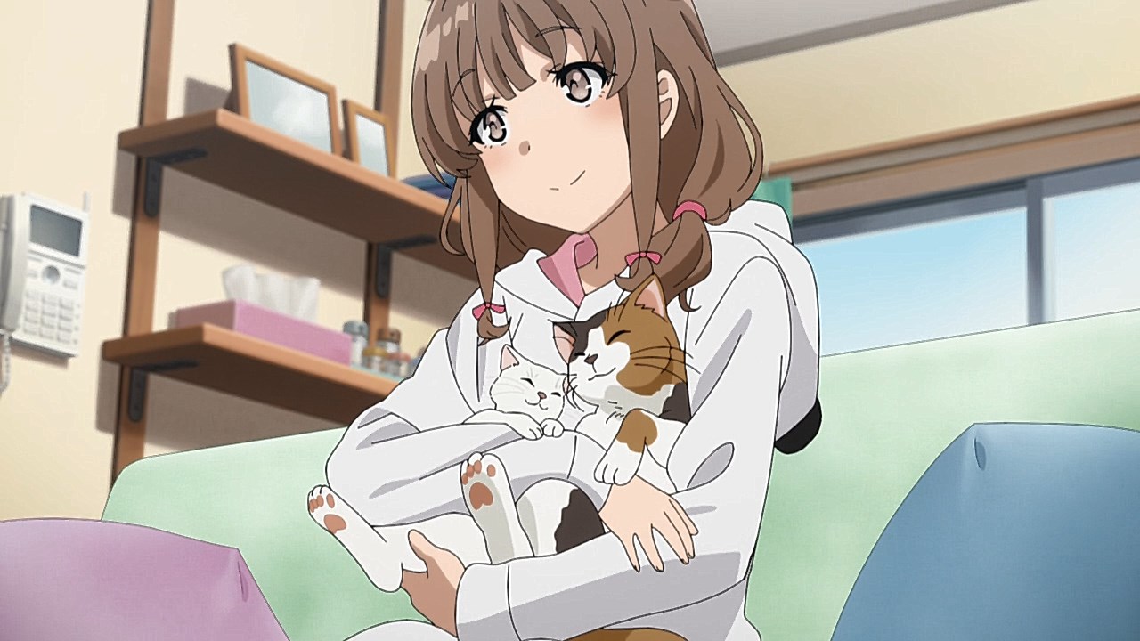 anime senpai bunny minai yume yarou Seishun girl wa no buta wo