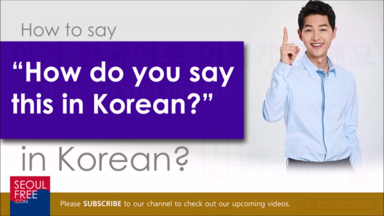 What do i do in korean language