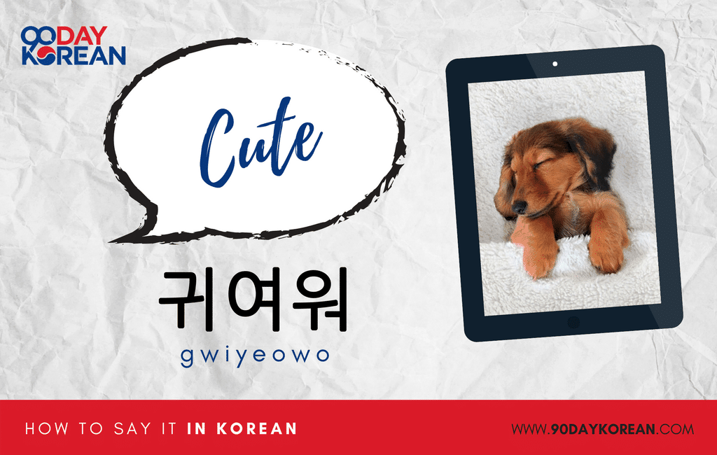 are cute korean You