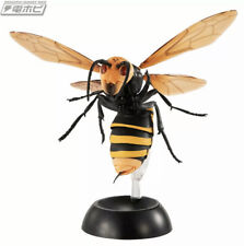 sale for giant Asian hornets