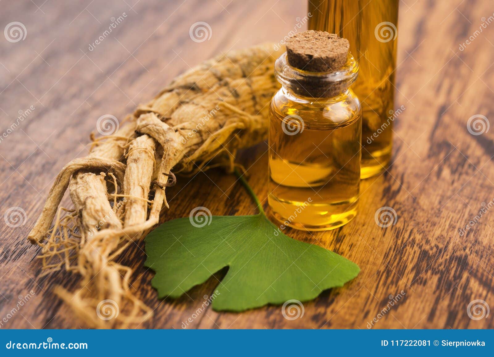 Asian ginseng and ginkgo biloba