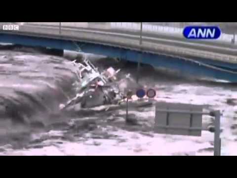 tsunami video downloads Asian