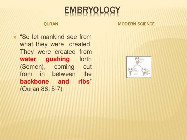 the spine sperm from Koran