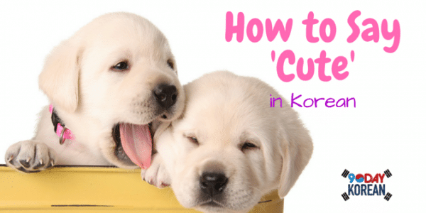 cute so You korean are