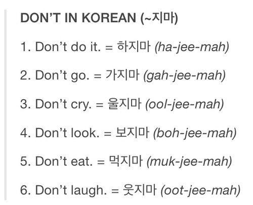 language this What is in korean